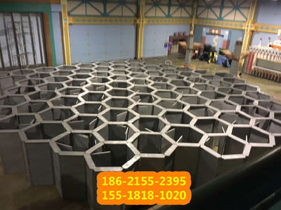 一站式蜂巢迷宮租賃 專業(yè)廠家提供攝像與制作服務(wù)