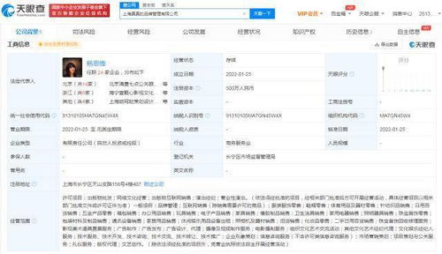 楊天真創(chuàng)辦真真品牌管理公司 以專業(yè)攝像與制作服務賦能品牌升級